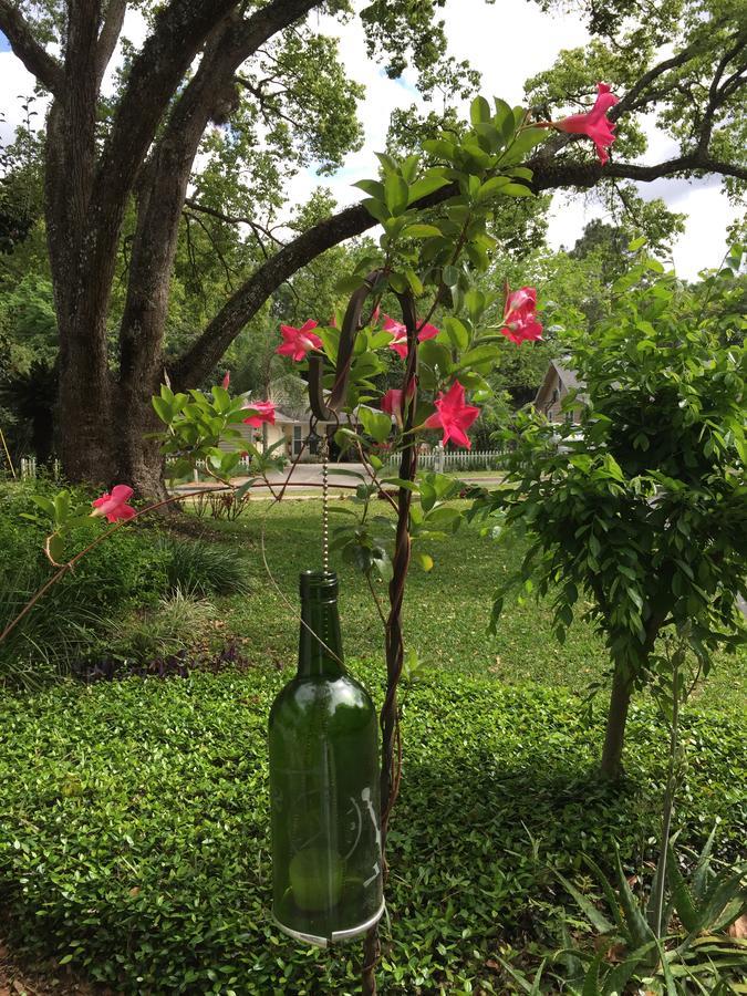 Farnsworth House Bed And Breakfast Mount Dora Ngoại thất bức ảnh